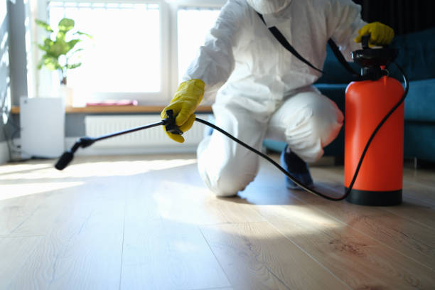 Reliable Hoarding Cleanup contractor in Webster, FL by Dulley Family Biohazard Services